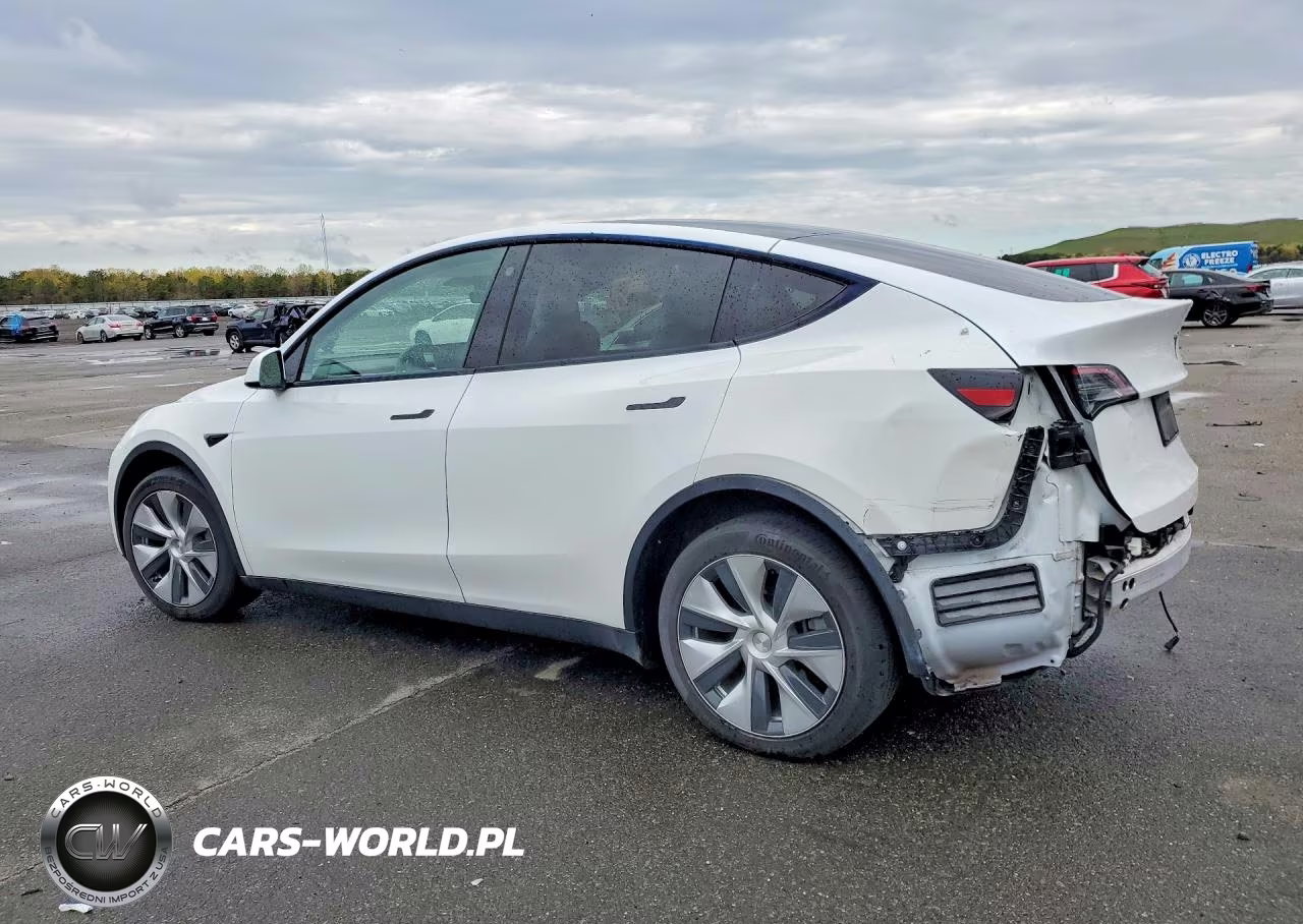 2022 Tesla Model Y VIN:7SAYGDEE8NF444622 - 2
