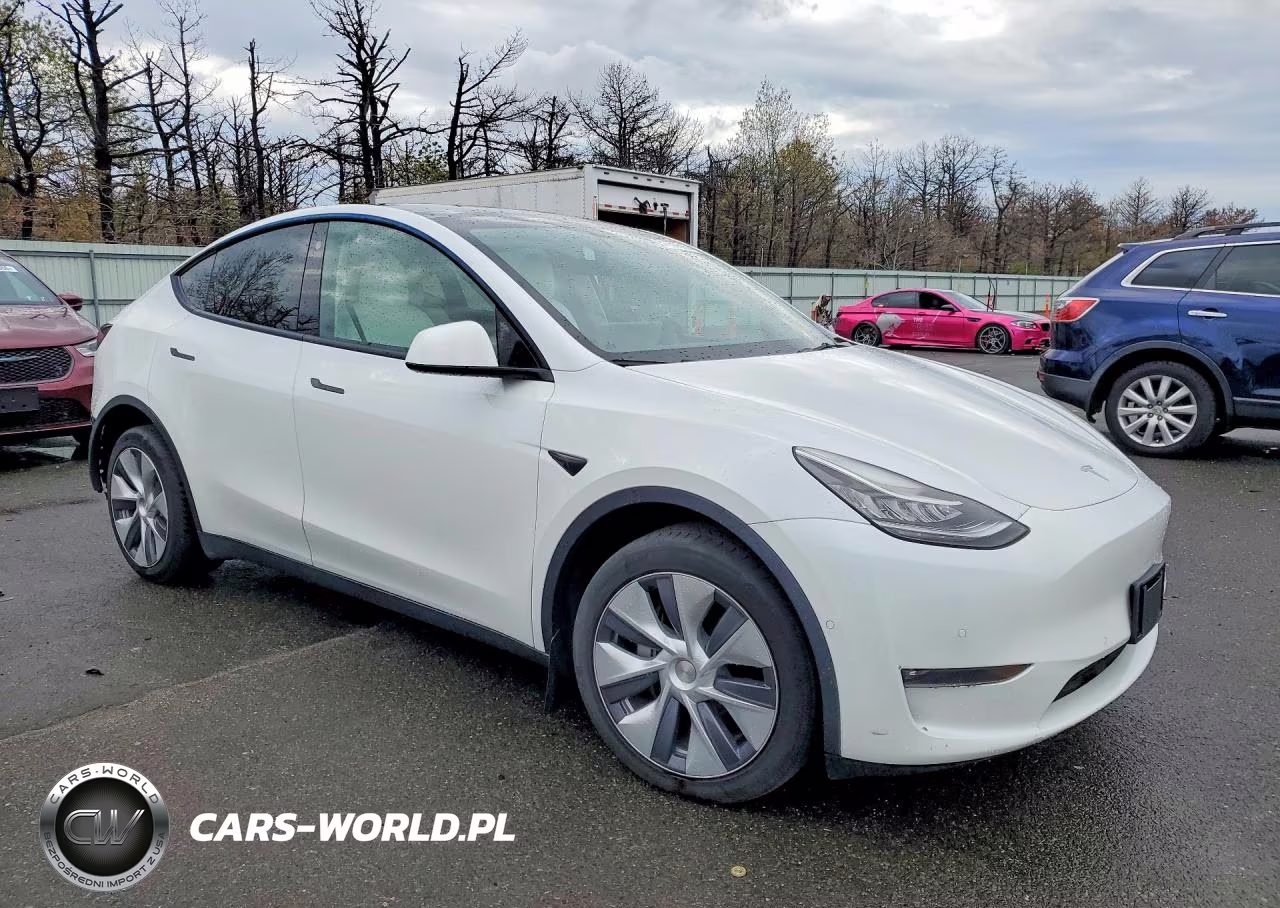 2022 Tesla Model Y VIN:7SAYGDEE8NF444622 - 4