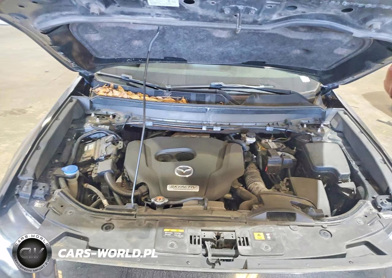 2019 Mazda Cx-9 Touring VIN:JM3TCACY2K0301052 - 12