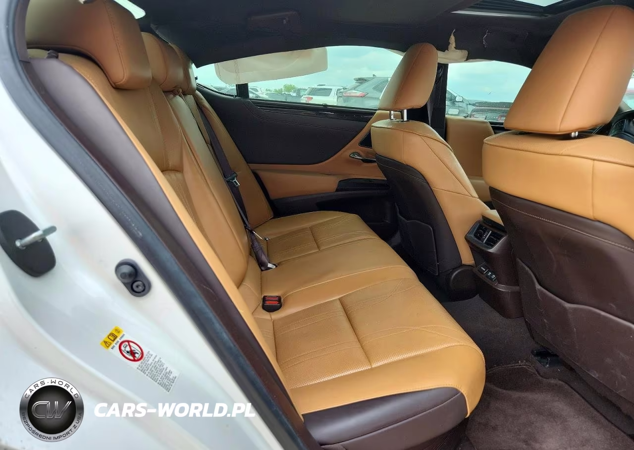 2019 Lexus Es 300H VIN:JTHB21B17K2004499 - 10
