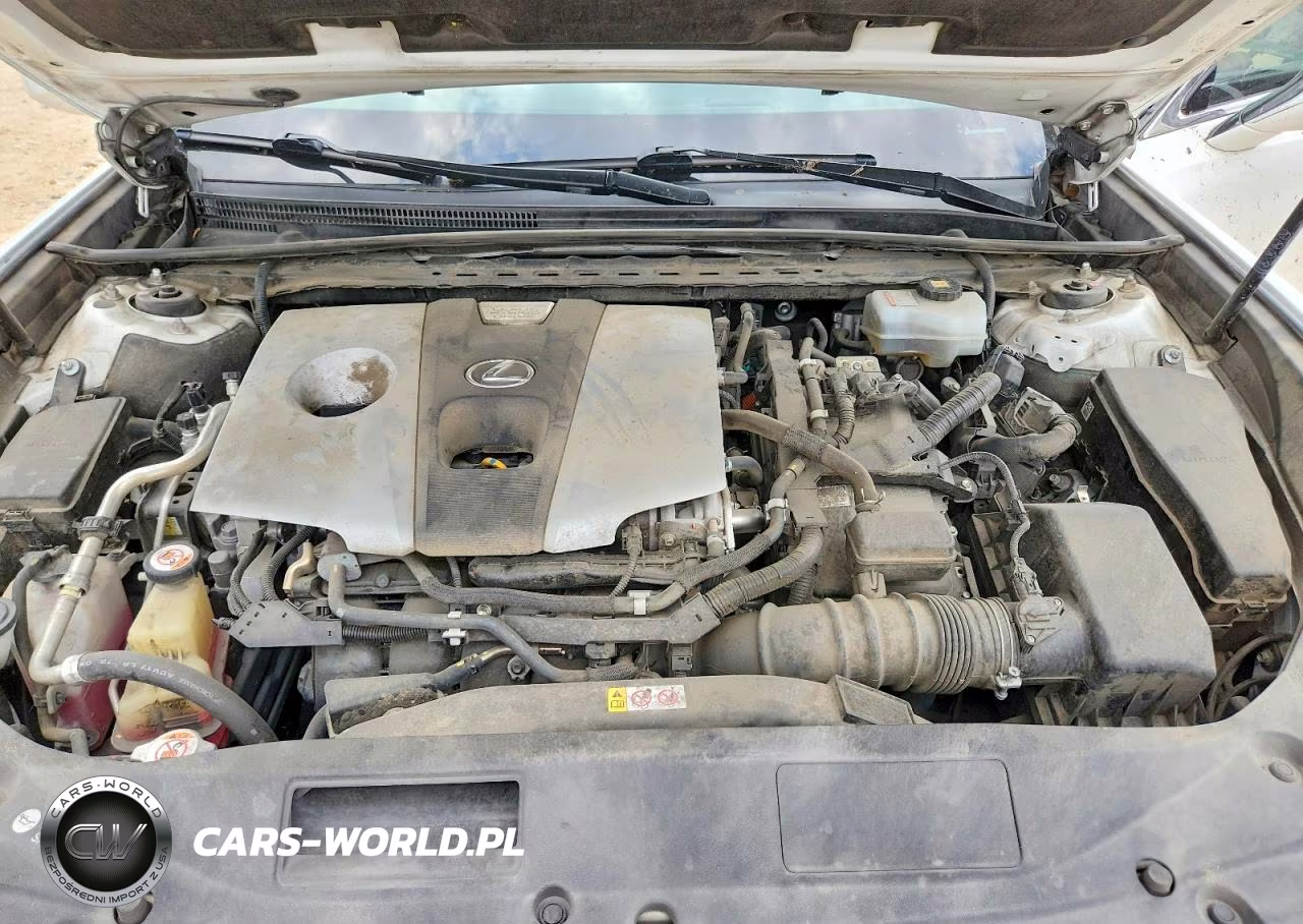 2019 Lexus Es 300H VIN:JTHB21B17K2004499 - 11