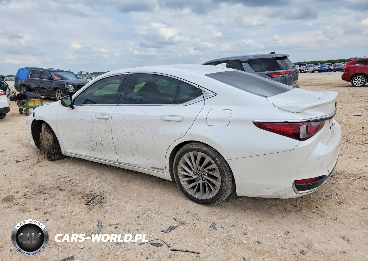 2019 Lexus Es 300H VIN:JTHB21B17K2004499 - 2