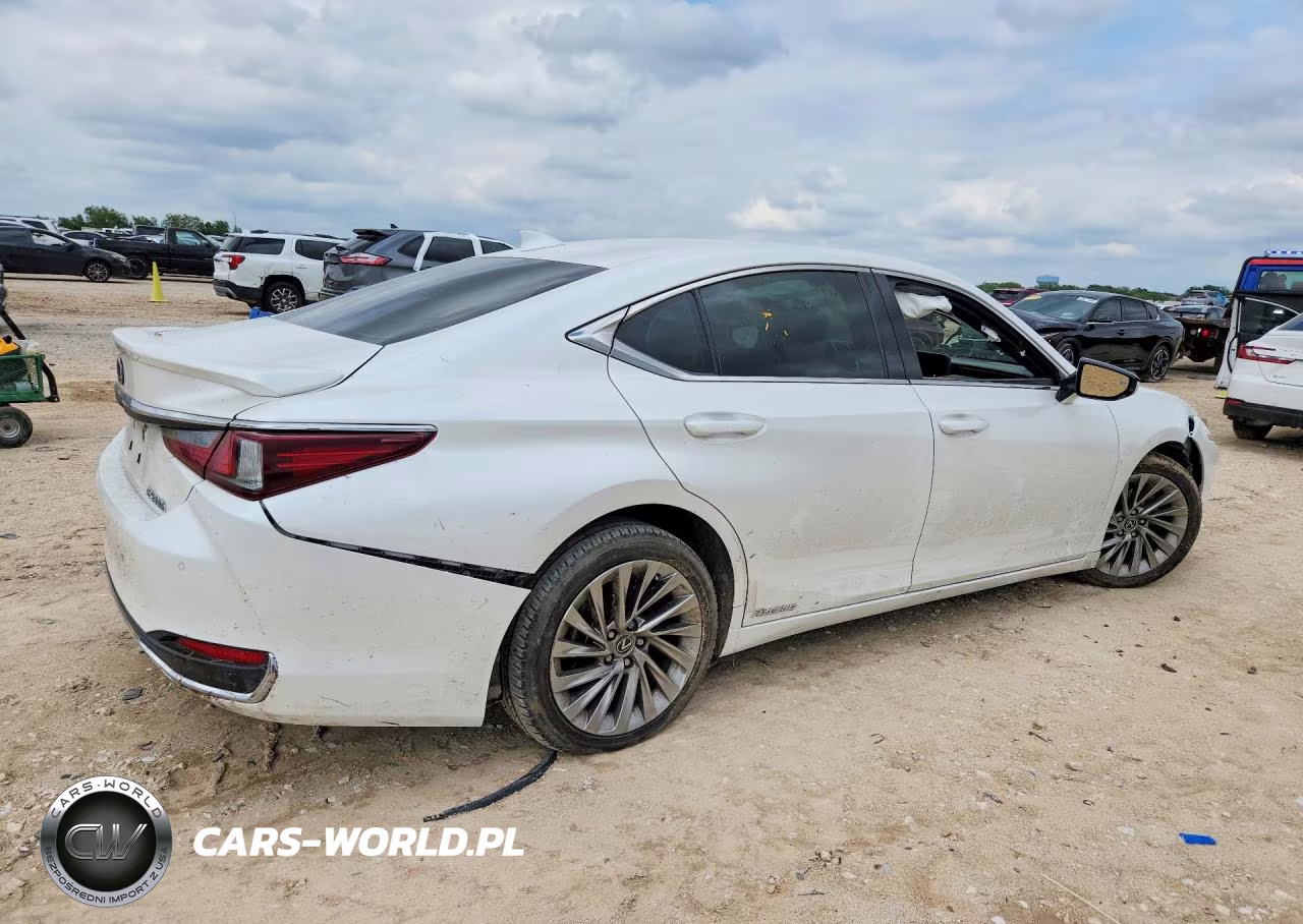 2019 Lexus Es 300H VIN:JTHB21B17K2004499 - 3