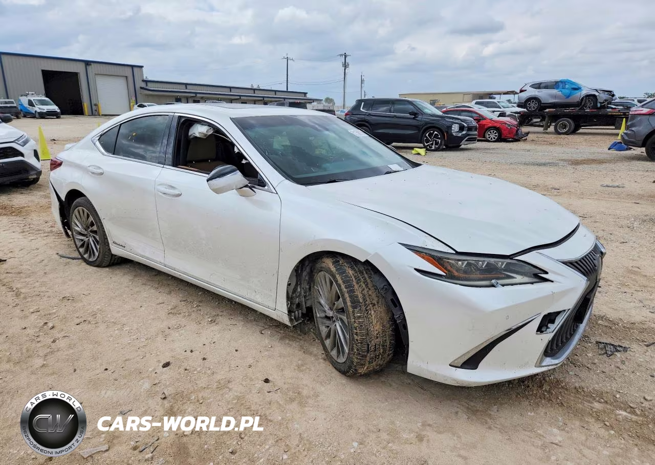 2019 Lexus Es 300H VIN:JTHB21B17K2004499 - 4