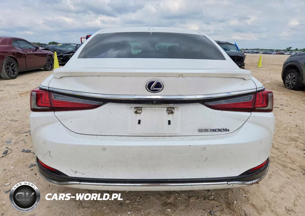 2019 Lexus Es 300H VIN:JTHB21B17K2004499 - 6