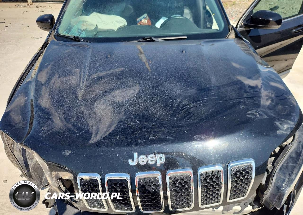 2019 Jeep Cherokee Limited VIN:1C4PJMDN0KD124161 - 12