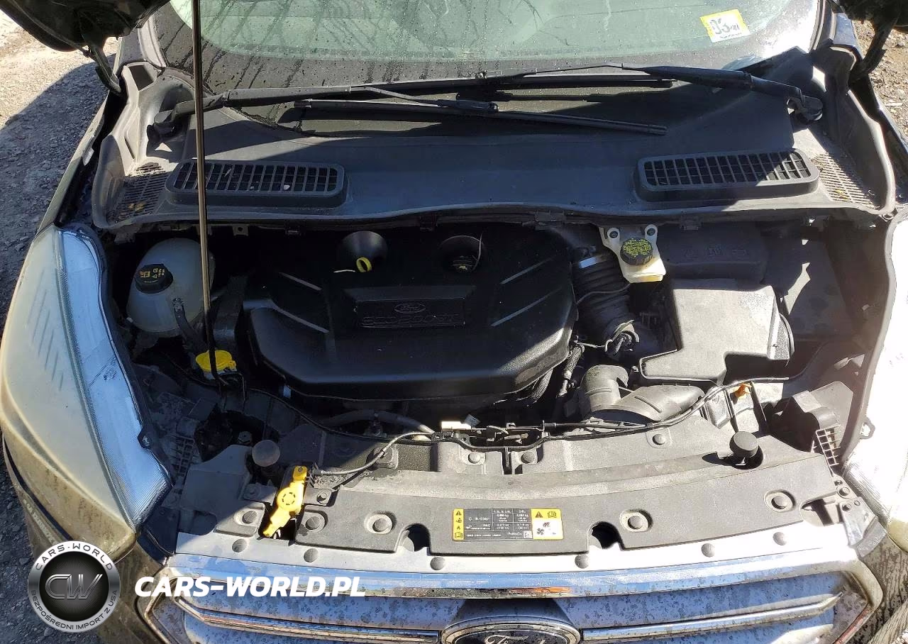 2017 Ford Escape Se VIN:1FMCU9G93HUE61445 - 12