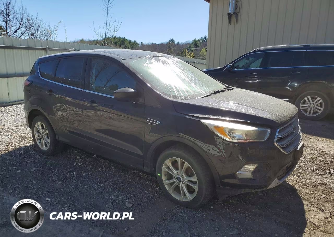 2017 Ford Escape Se VIN:1FMCU9G93HUE61445 - 4