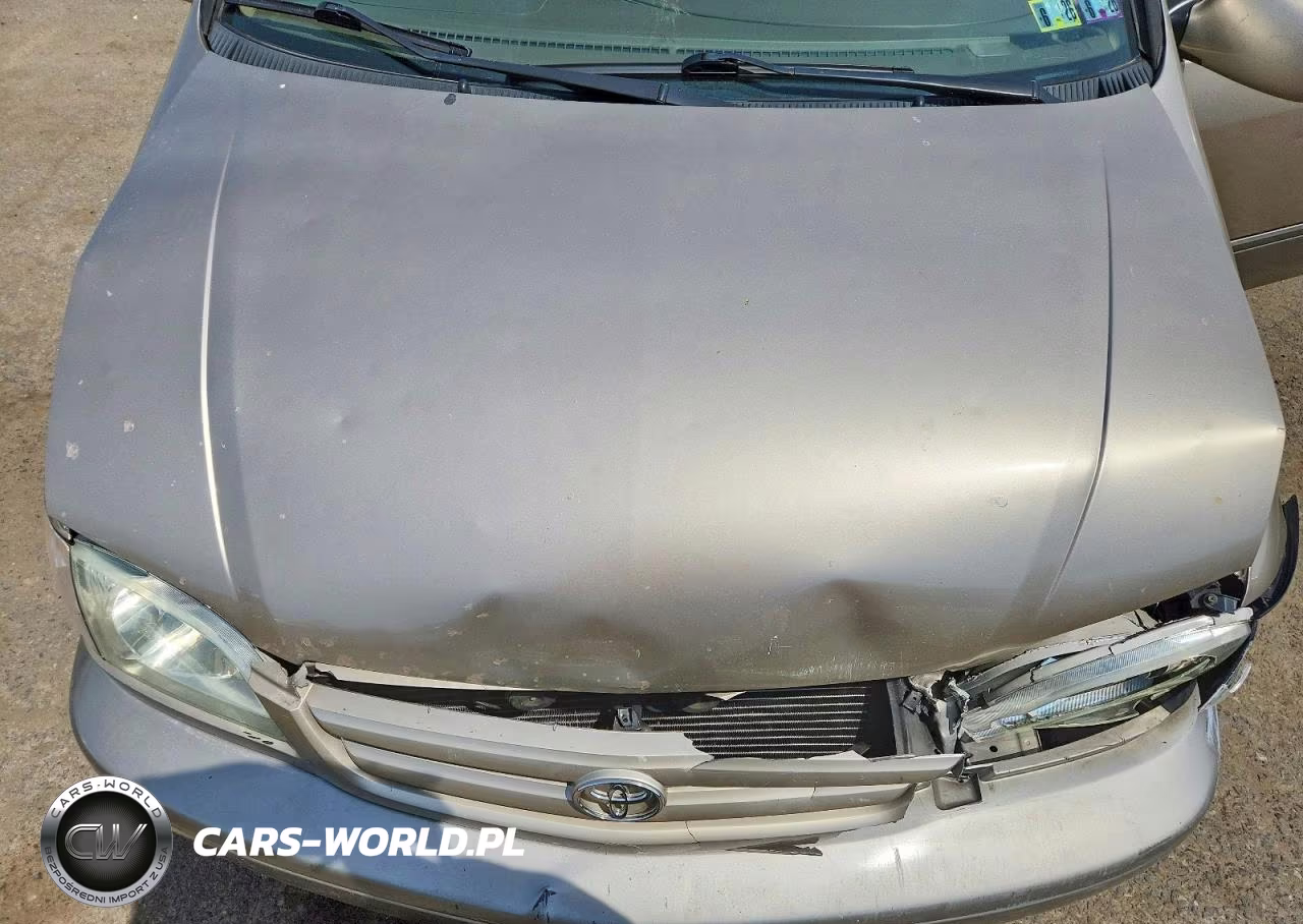 2002 Toyota Sienna Le VIN:4T3ZF13C62U507582 - 12