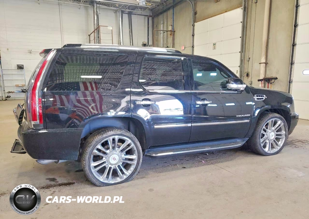 2013 Cadillac Escalade Luxury VIN:1GYS4BEF9DR270863 - 3