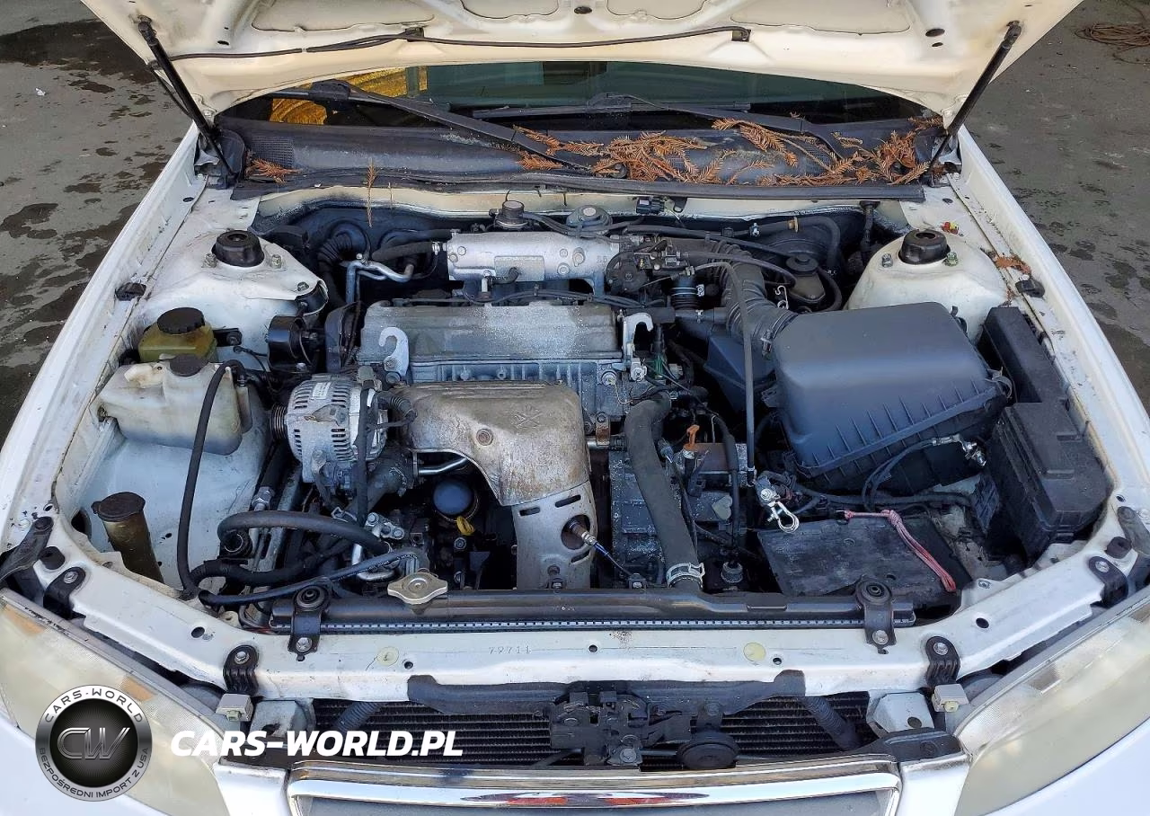 2000 Toyota Camry Ce VIN:4T1BG22K5YU994336 - 11