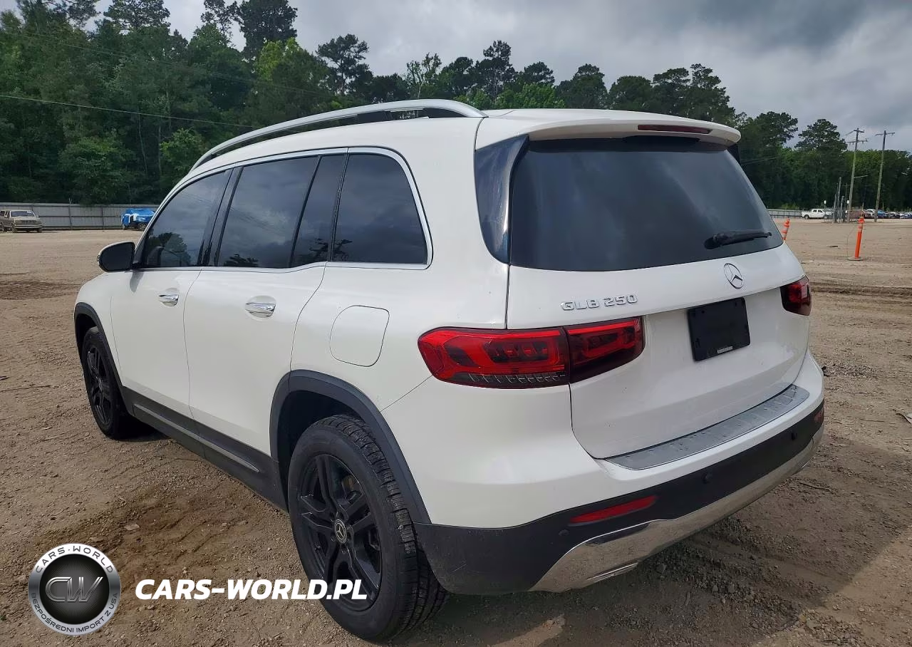 2020 Mercedes-Benz Glb 250 VIN:W1N4M4GB0LW013524 - 2