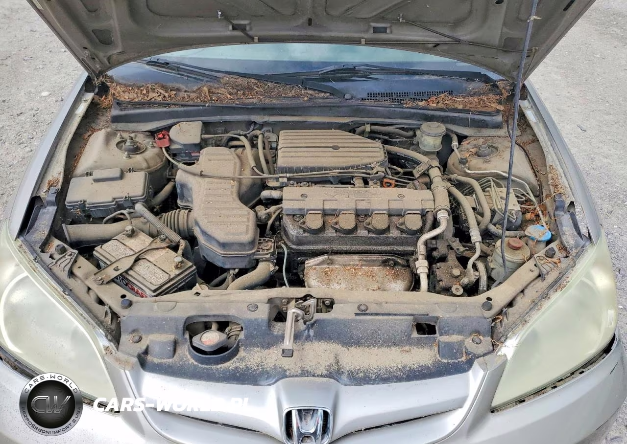 2004 Honda Civic Ex VIN:2HGES267X4H501562 - 11