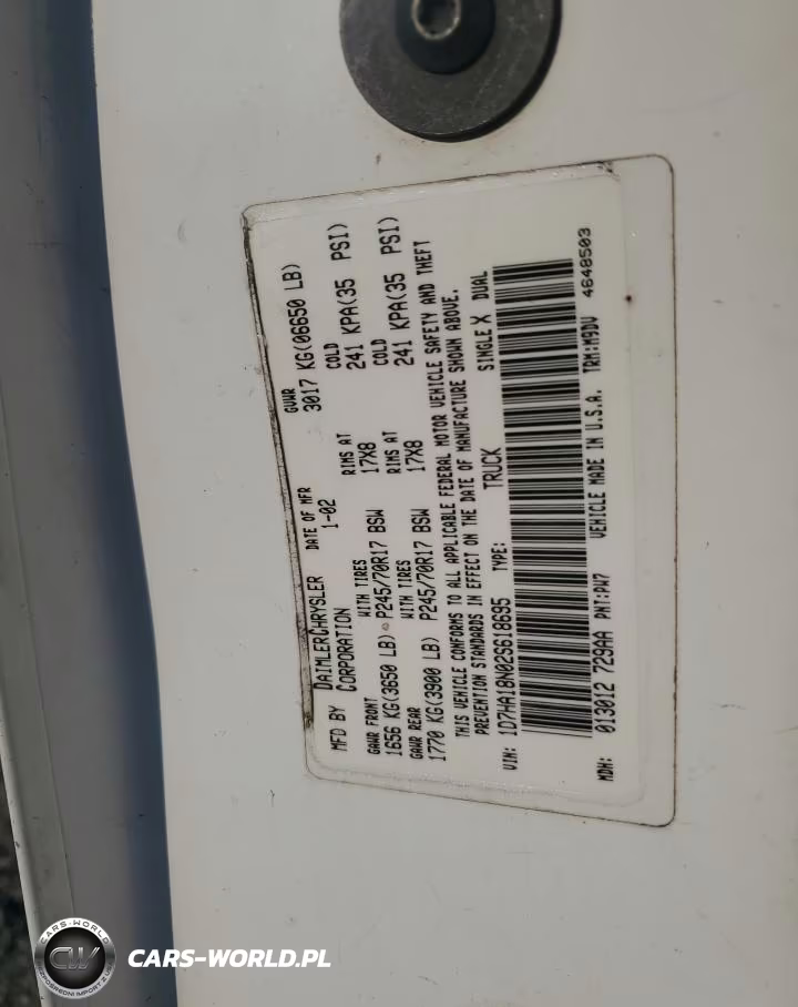 2002 Dodge Ram 1500 VIN:1D7HA18N02S618695 - 13