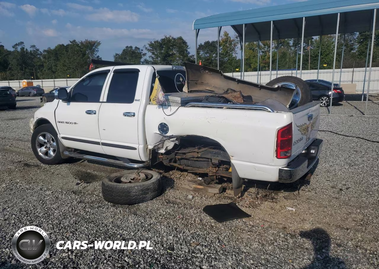 2002 Dodge Ram 1500 VIN:1D7HA18N02S618695 - 2