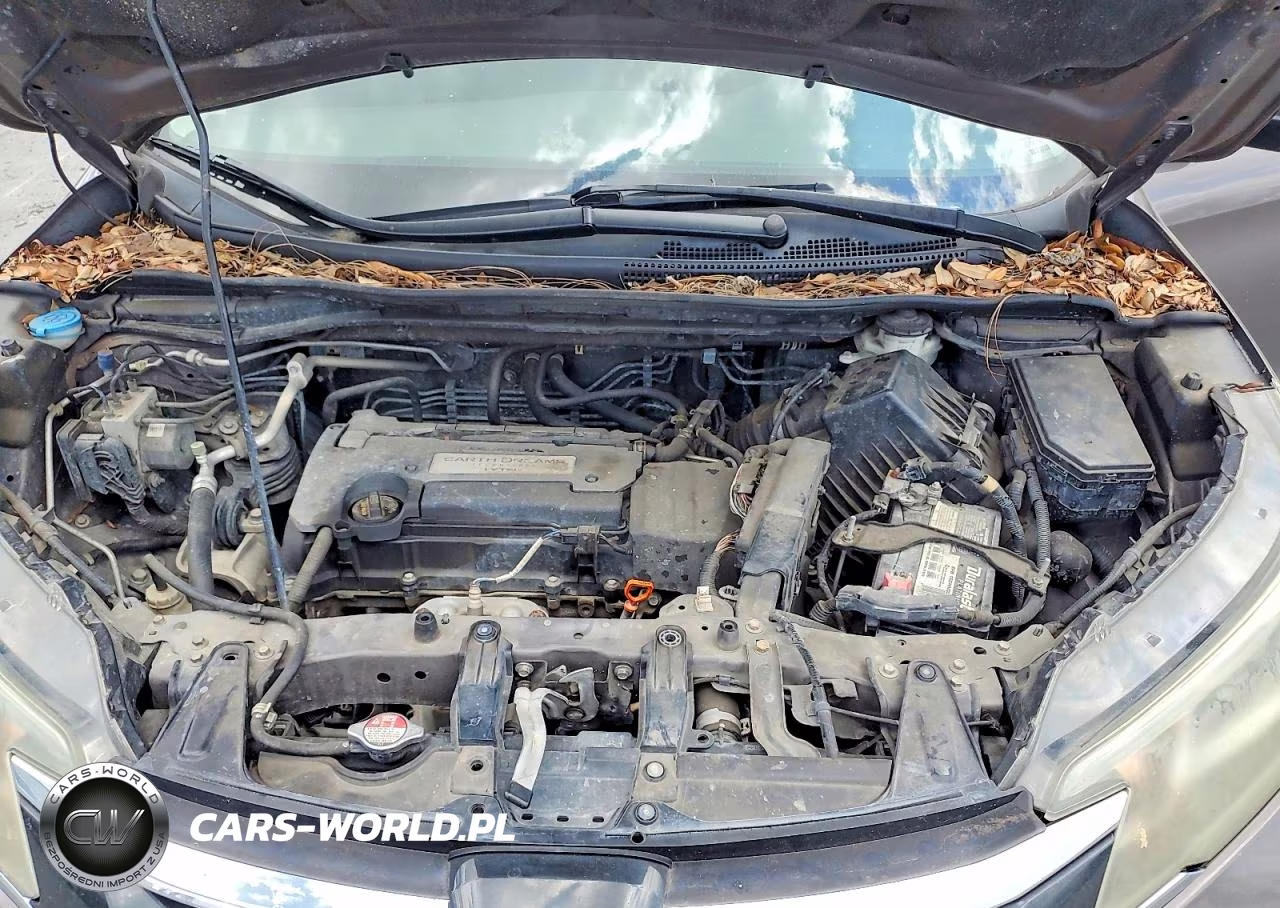 2015 Honda Cr-V Lx VIN:2HKRM4H35FH699347 - 12