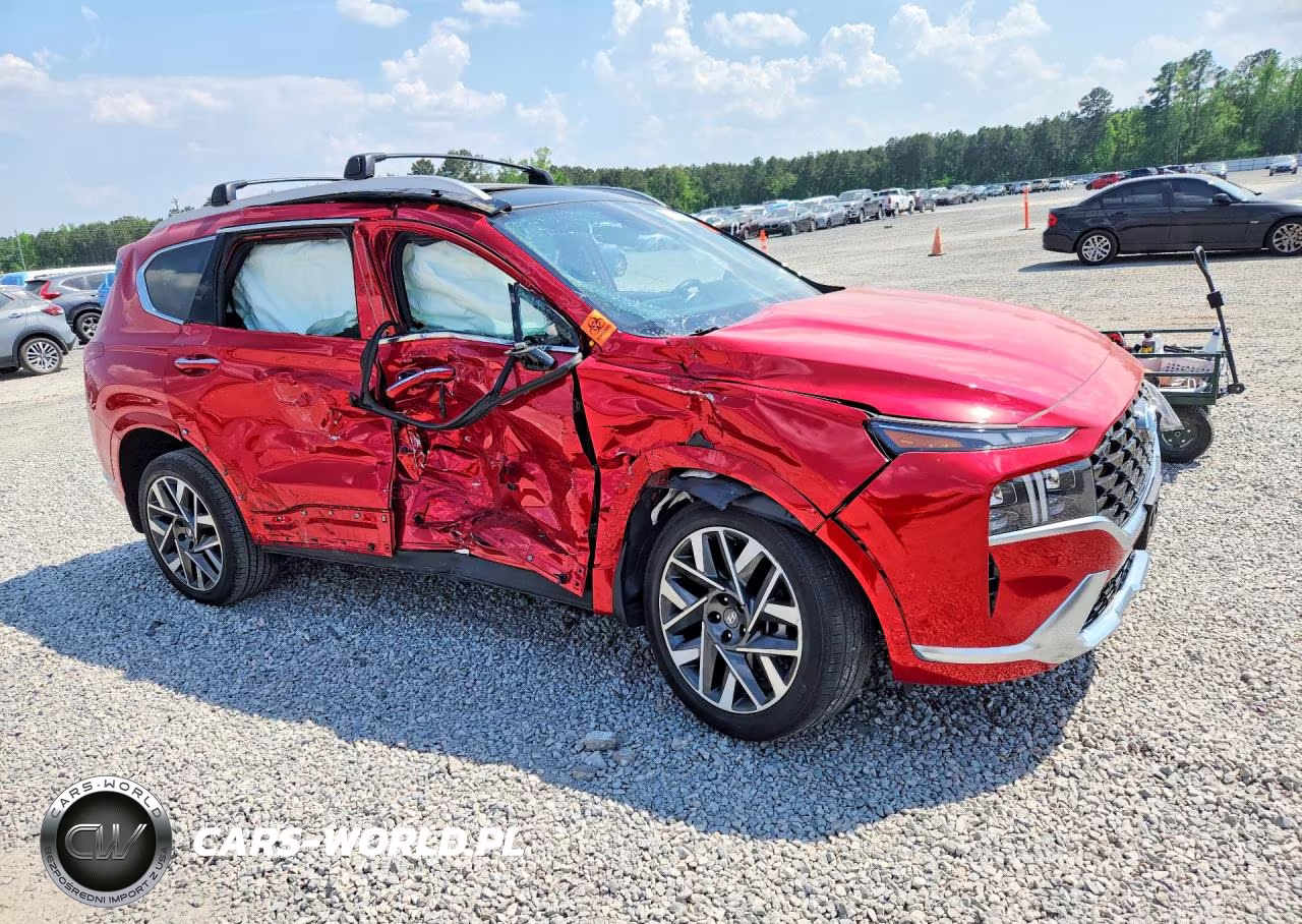 2023 Hyundai Santa Fe Calligraphy VIN:5NMS5DAL7PH587723 - 4