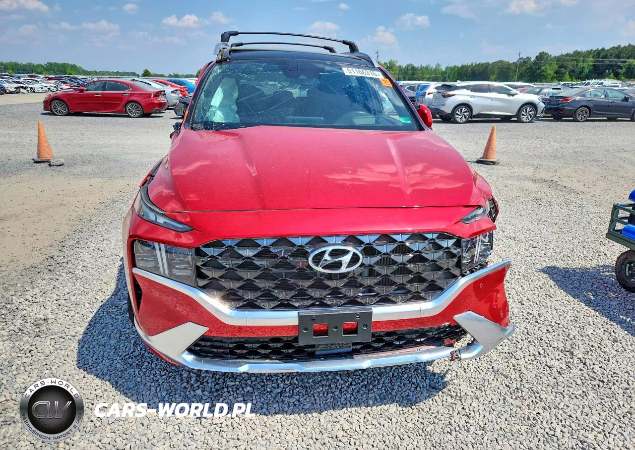 2023 Hyundai Santa Fe Calligraphy VIN:5NMS5DAL7PH587723 - 5