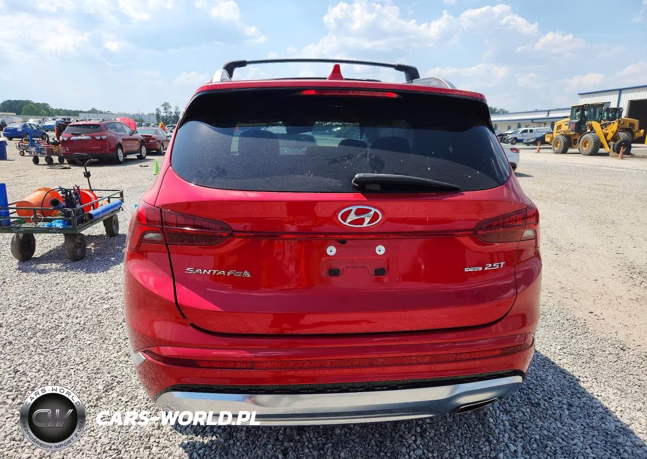 2023 Hyundai Santa Fe Calligraphy VIN:5NMS5DAL7PH587723 - 6