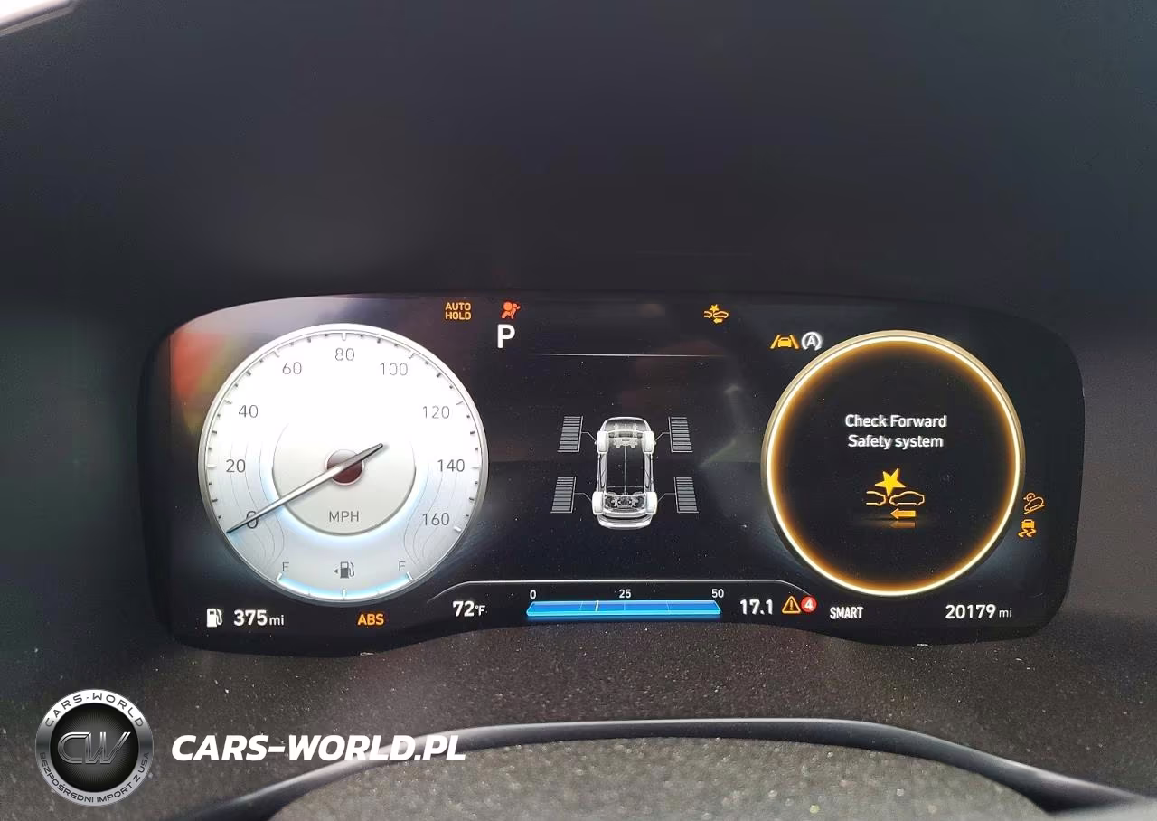 2023 Hyundai Santa Fe Calligraphy VIN:5NMS5DAL7PH587723 - 9