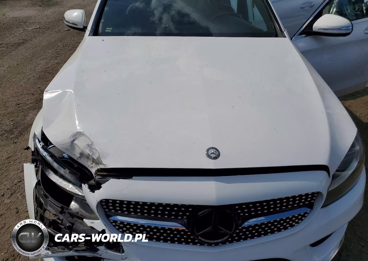 2017 Mercedes-Benz C 300 VIN:55SWF4JB9HU219339 - 11