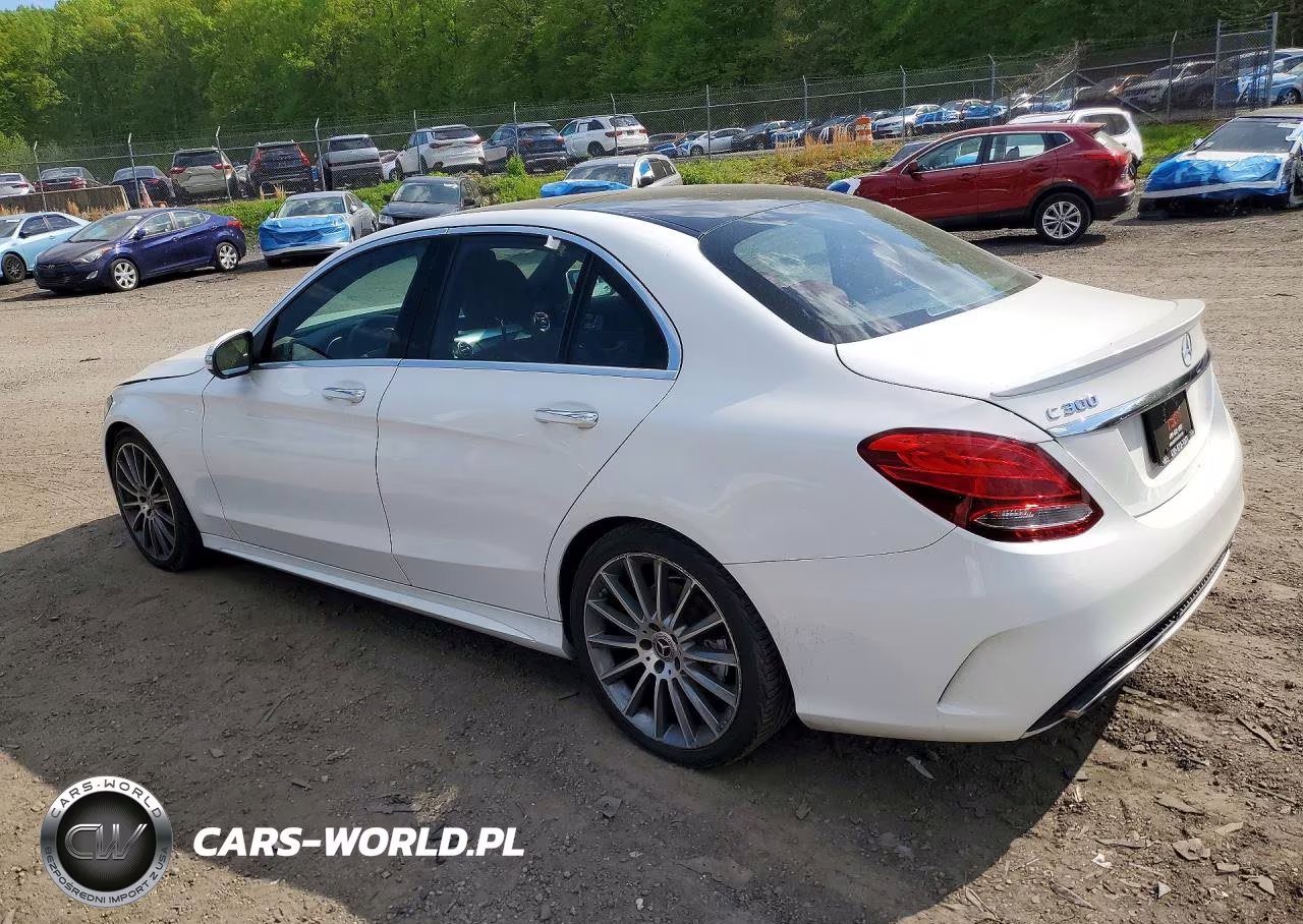 2017 Mercedes-Benz C 300 VIN:55SWF4JB9HU219339 - 2