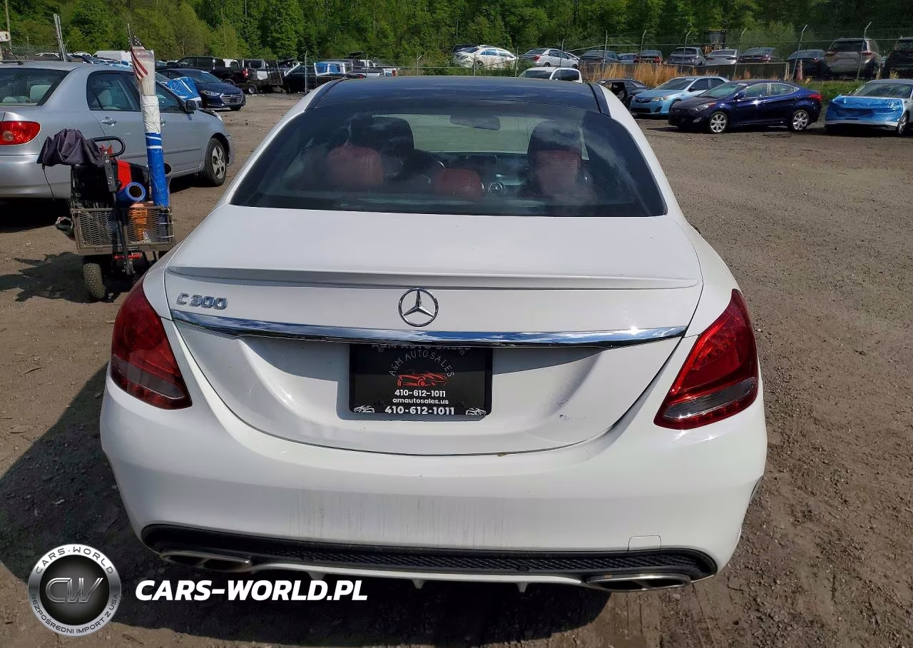 2017 Mercedes-Benz C 300 VIN:55SWF4JB9HU219339 - 6