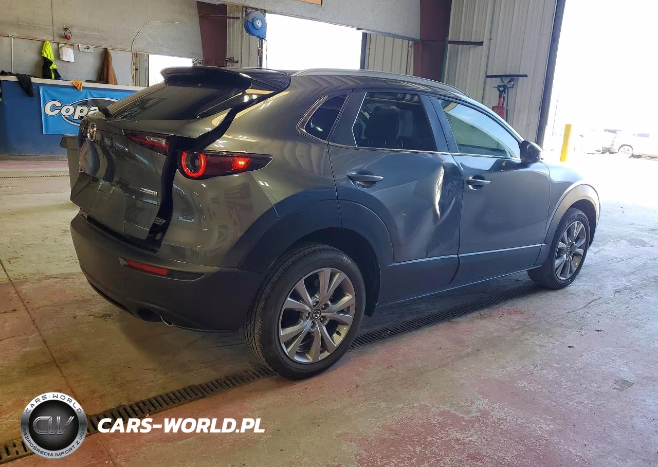 2023 Mazda Cx-30 Preferred VIN:3MVDMBCM7PM549099 - 3
