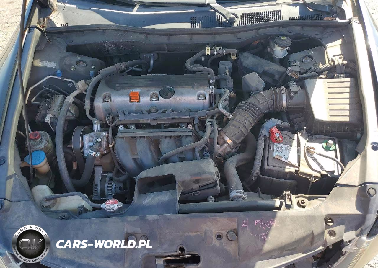 2010 Honda Accord VIN:1HGCP2F34AA183373 - 11