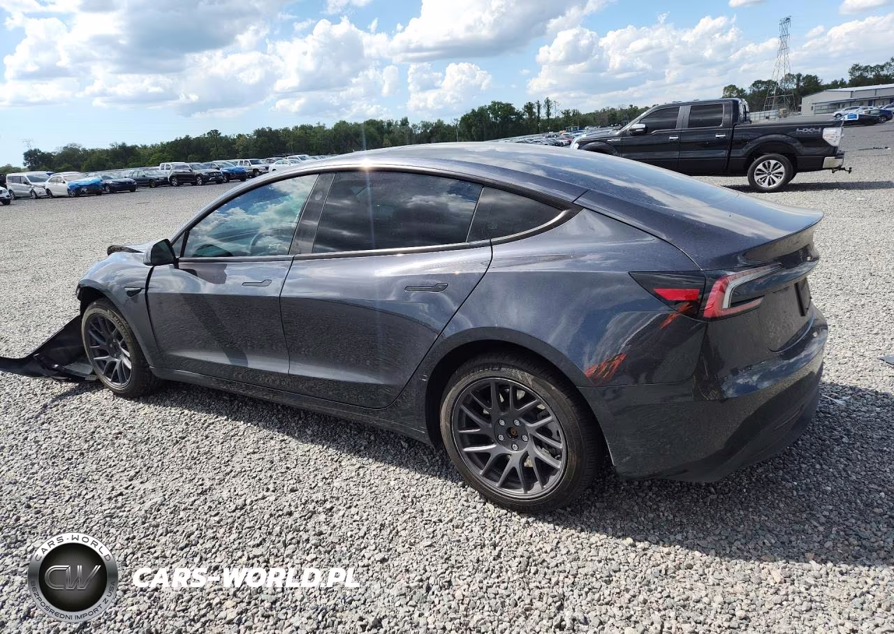 2025 Tesla Model 3 VIN:5YJ3E1EA0SF932466 - 2