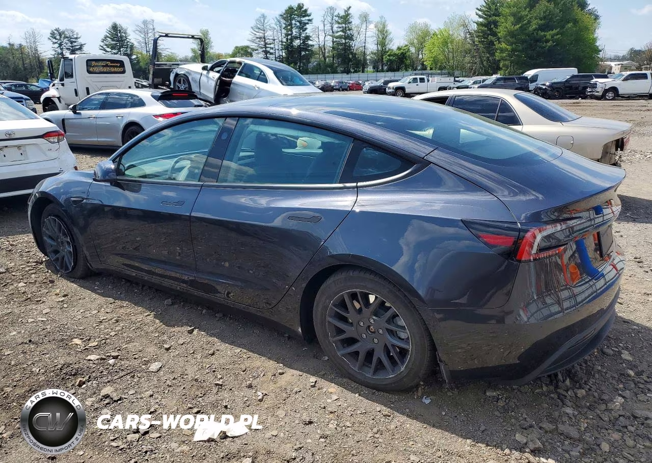 2024 Tesla Model 3 VIN:5YJ3E1EA4RF826841 - 2