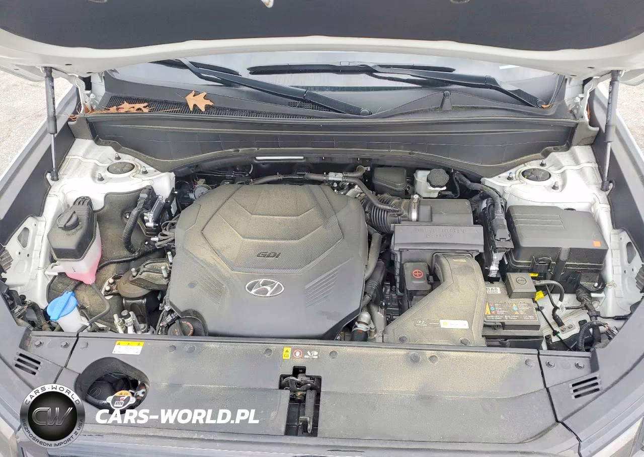 2025 Hyundai Palisade Sel VIN:KM8R24GE8SU830436 - 12