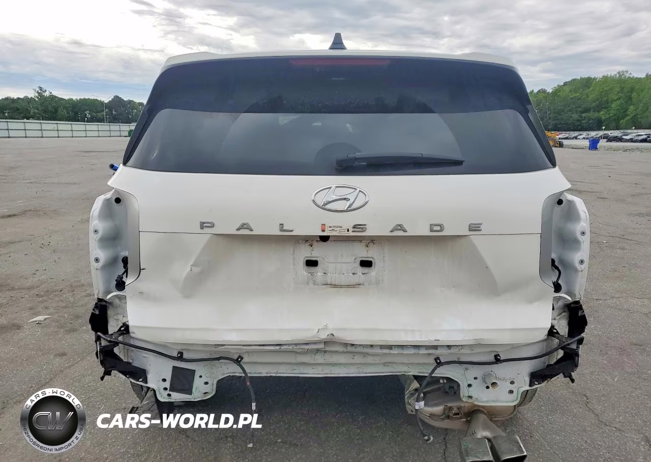 2025 Hyundai Palisade Sel VIN:KM8R24GE8SU830436 - 6