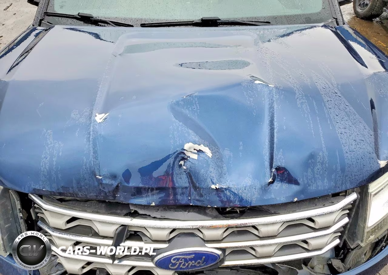 2016 Ford Explorer Xlt VIN:1FM5K8D81GGA43192 - 12