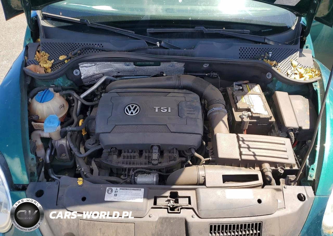 2017 Volkswagen Beetle 1.8T VIN:3VWF17AT7HM618625 - 11