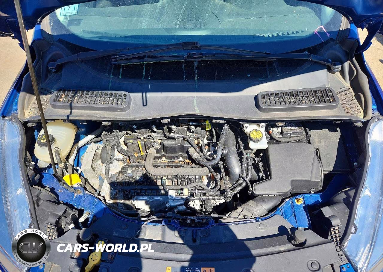 2019 Ford Escape Se VIN:1FMCU0GD5KUB15596 - 12