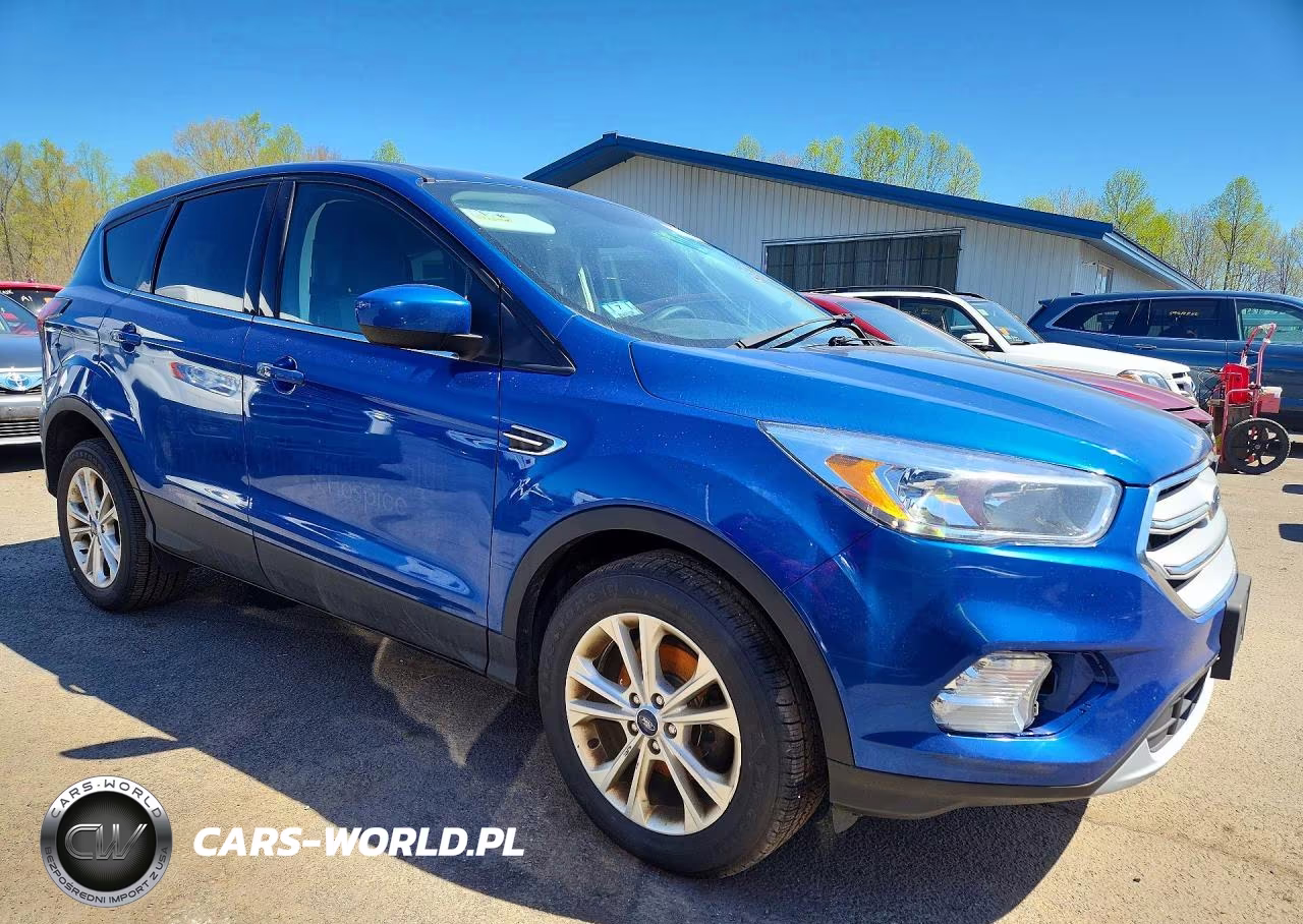 2019 Ford Escape Se VIN:1FMCU0GD5KUB15596 - 4