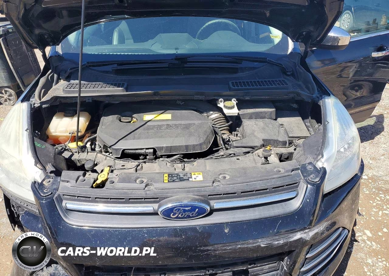 2016 Ford Escape Se VIN:1FMCU0GX9GUB31205 - 12
