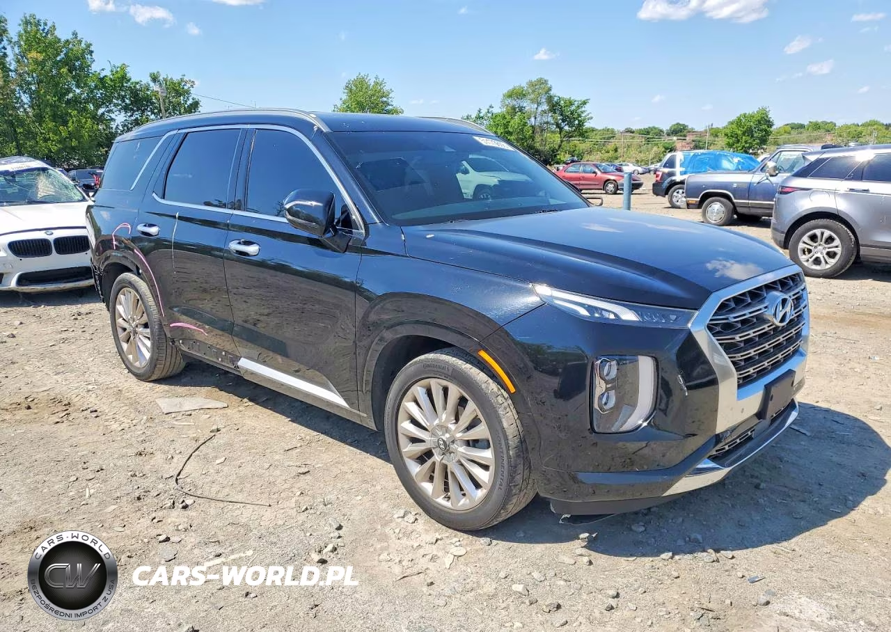 2020 Hyundai Palisade Limited VIN:KM8R54HE8LU038911 - 4