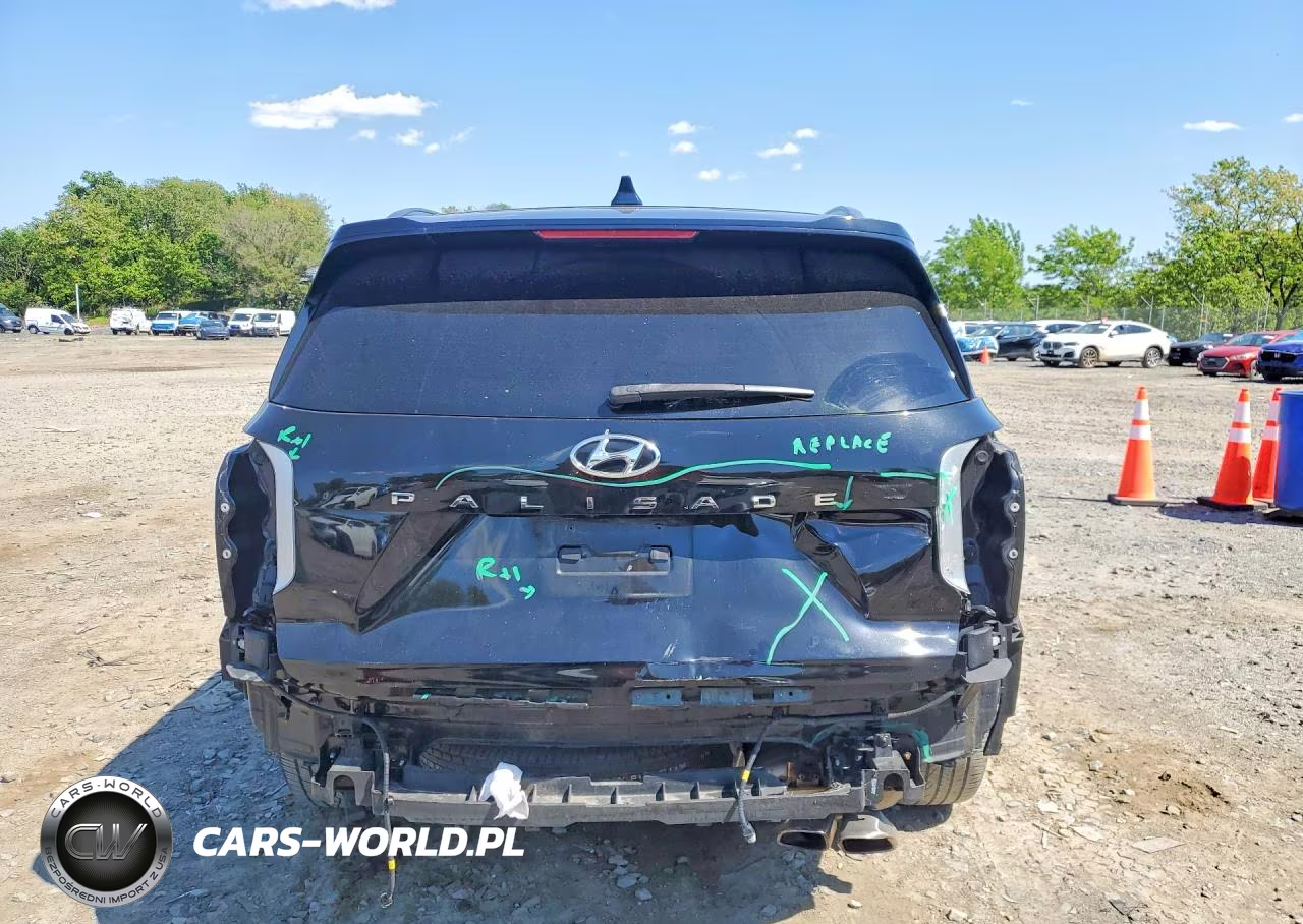 2020 Hyundai Palisade Limited VIN:KM8R54HE8LU038911 - 6