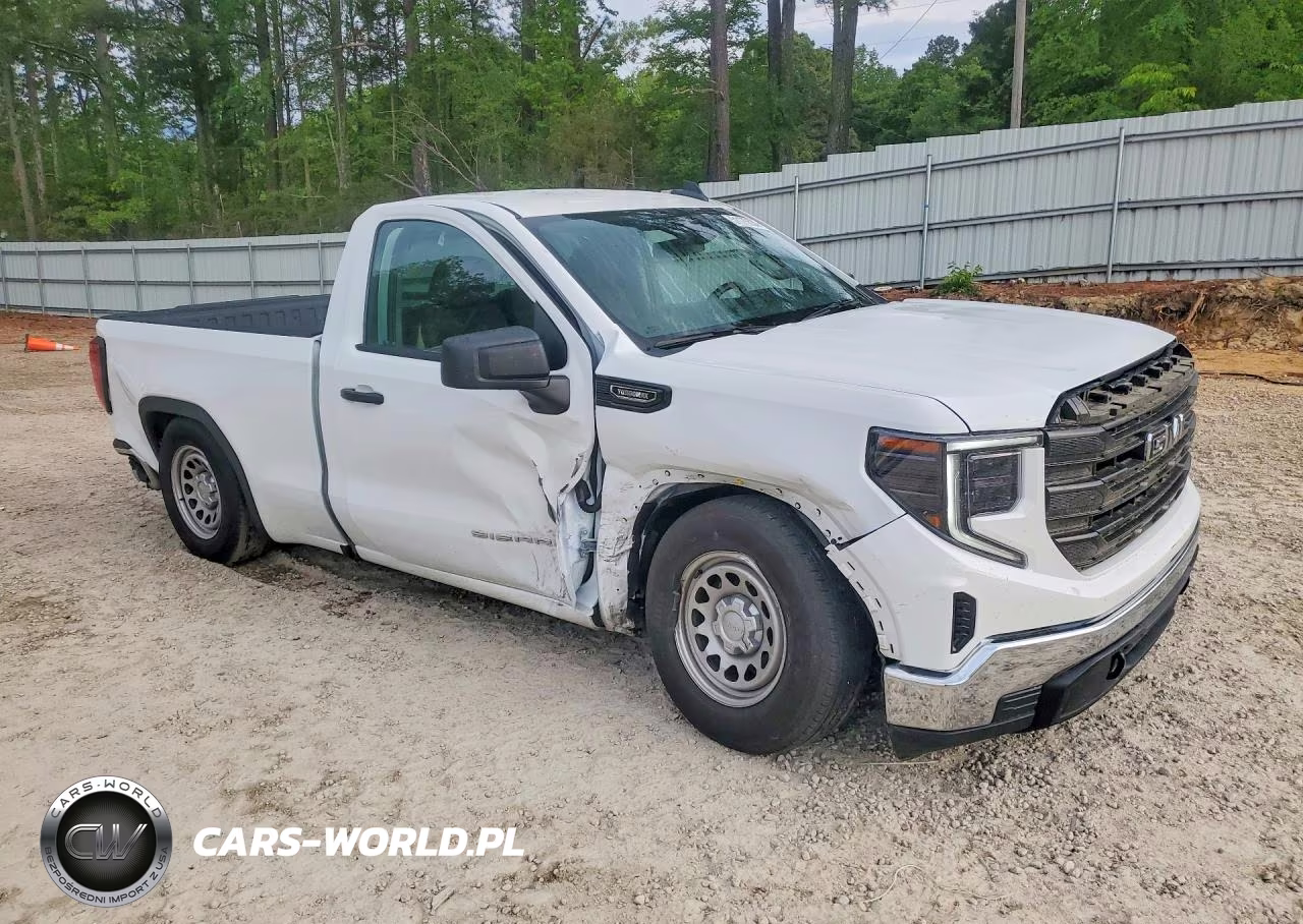 2025 GMC Sierra C1500 VIN:3GTNHAEK7SG183927 - 4
