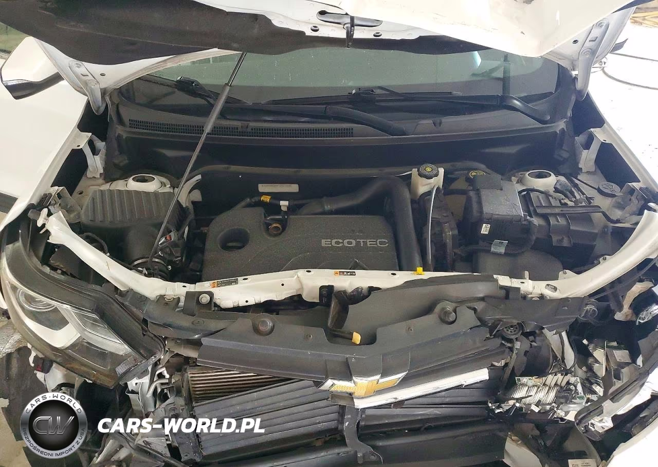 2019 Chevrolet Equinox Lt VIN:3GNAXKEV0KS656105 - 12