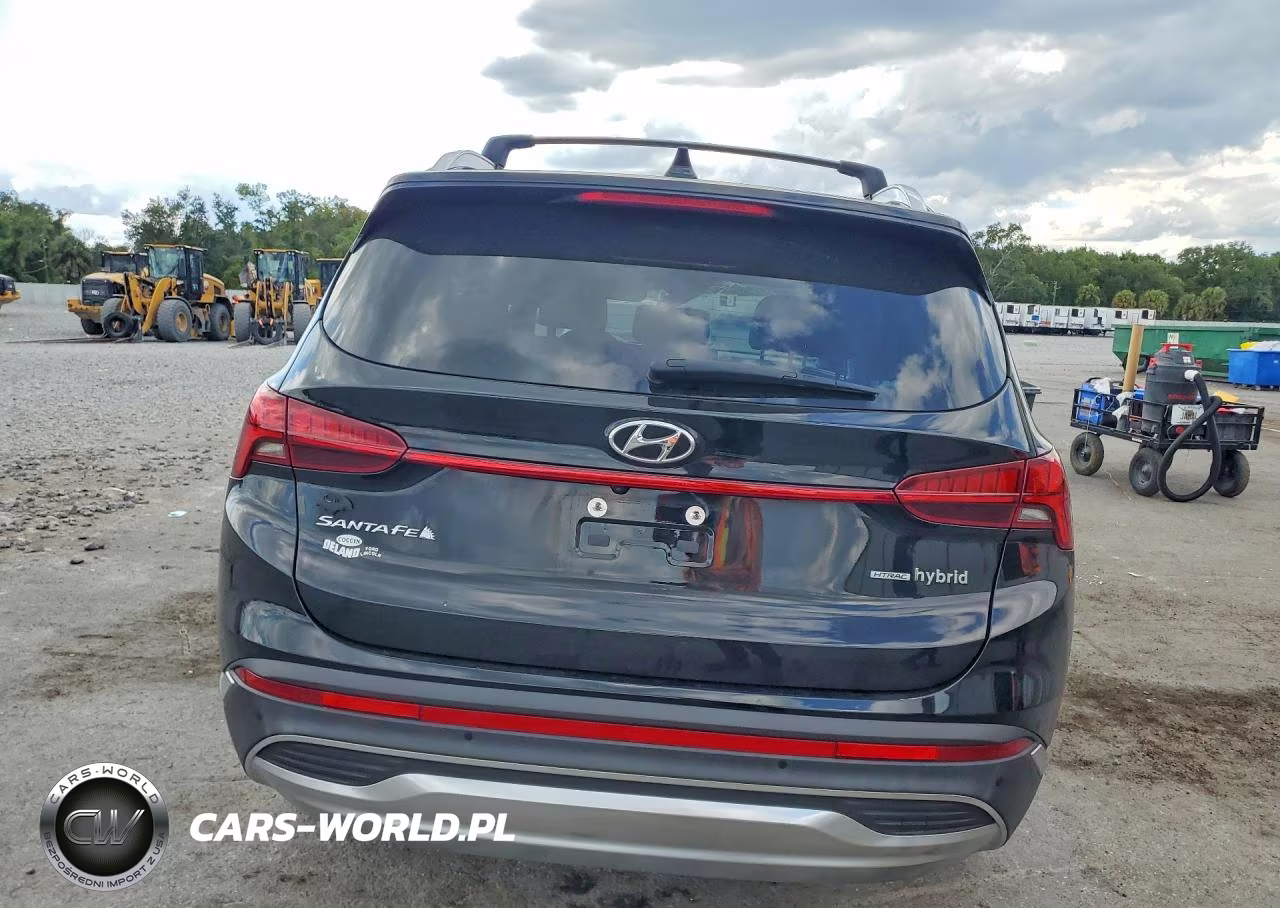 2021 Hyundai Santa Fe Limited VIN:KM8S5DA10MU009185 - 6