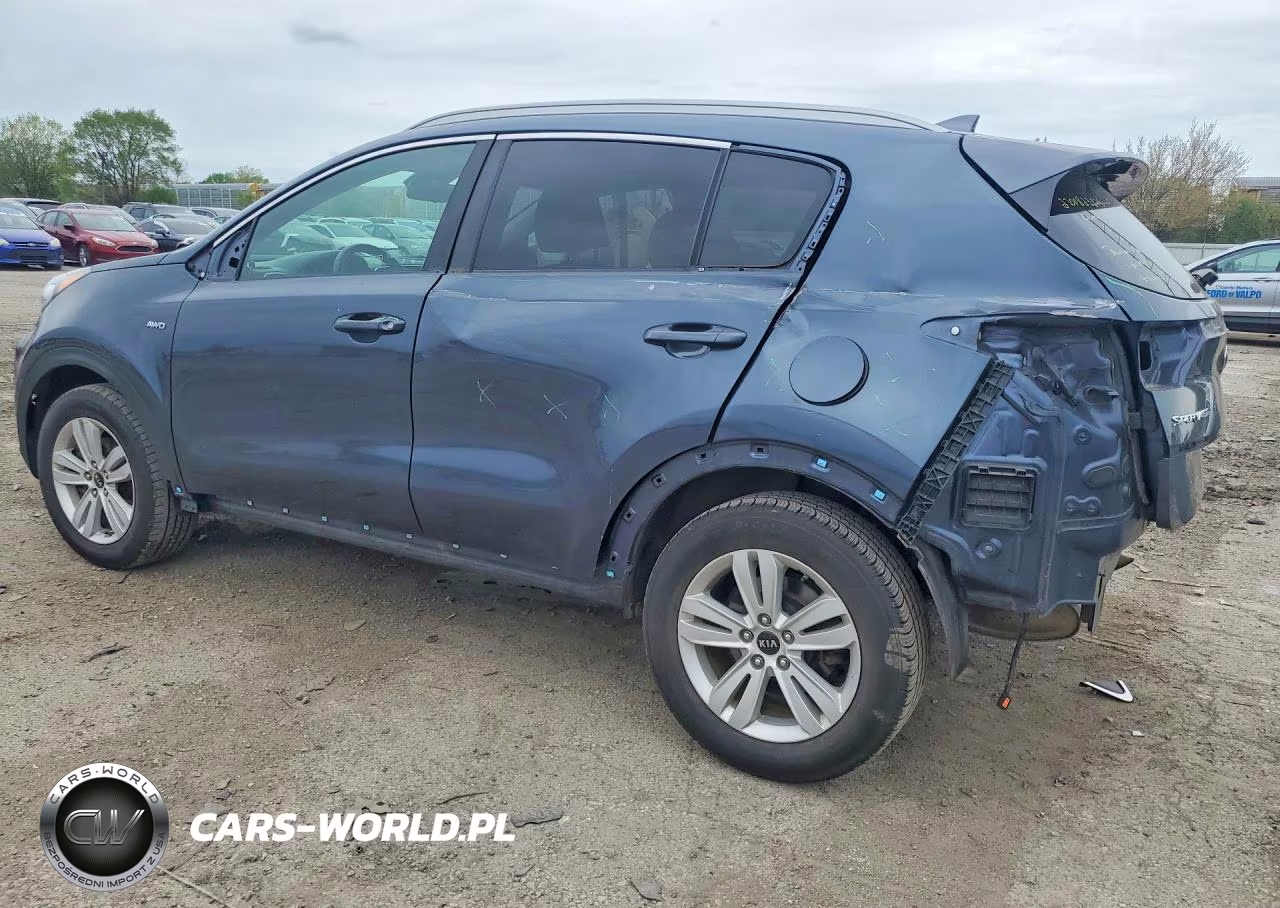 2019 Kia Sportage Lx VIN:KNDPMCAC7K7627091 - 2