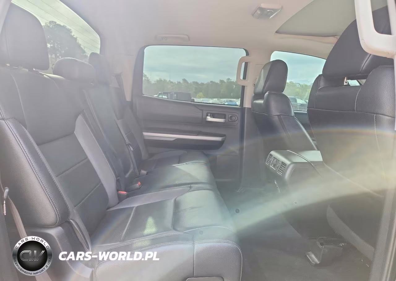 2019 Toyota Tundra Crewmax Limited VIN:5TFFY5F18KX250290 - 10