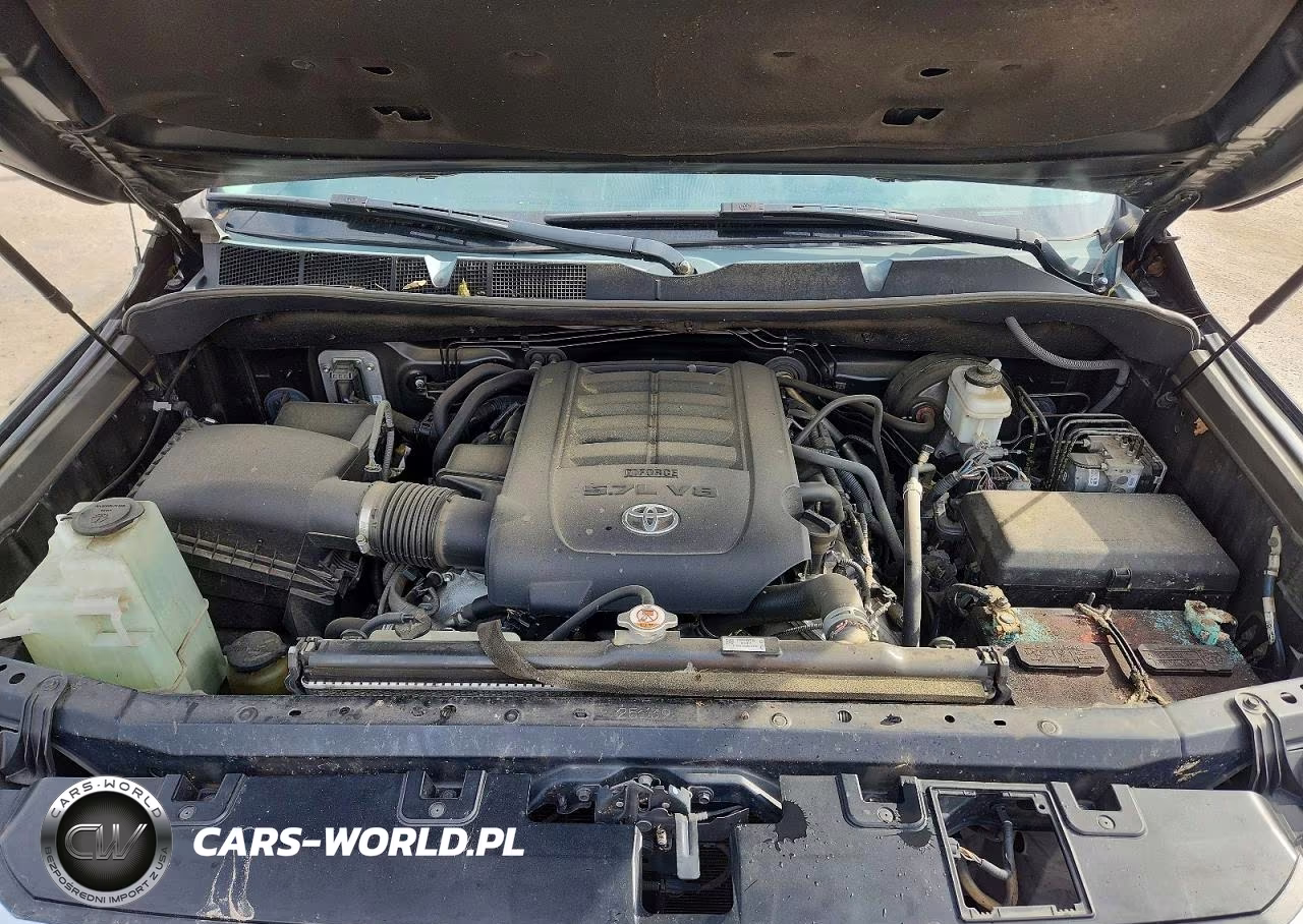 2019 Toyota Tundra Crewmax Limited VIN:5TFFY5F18KX250290 - 11
