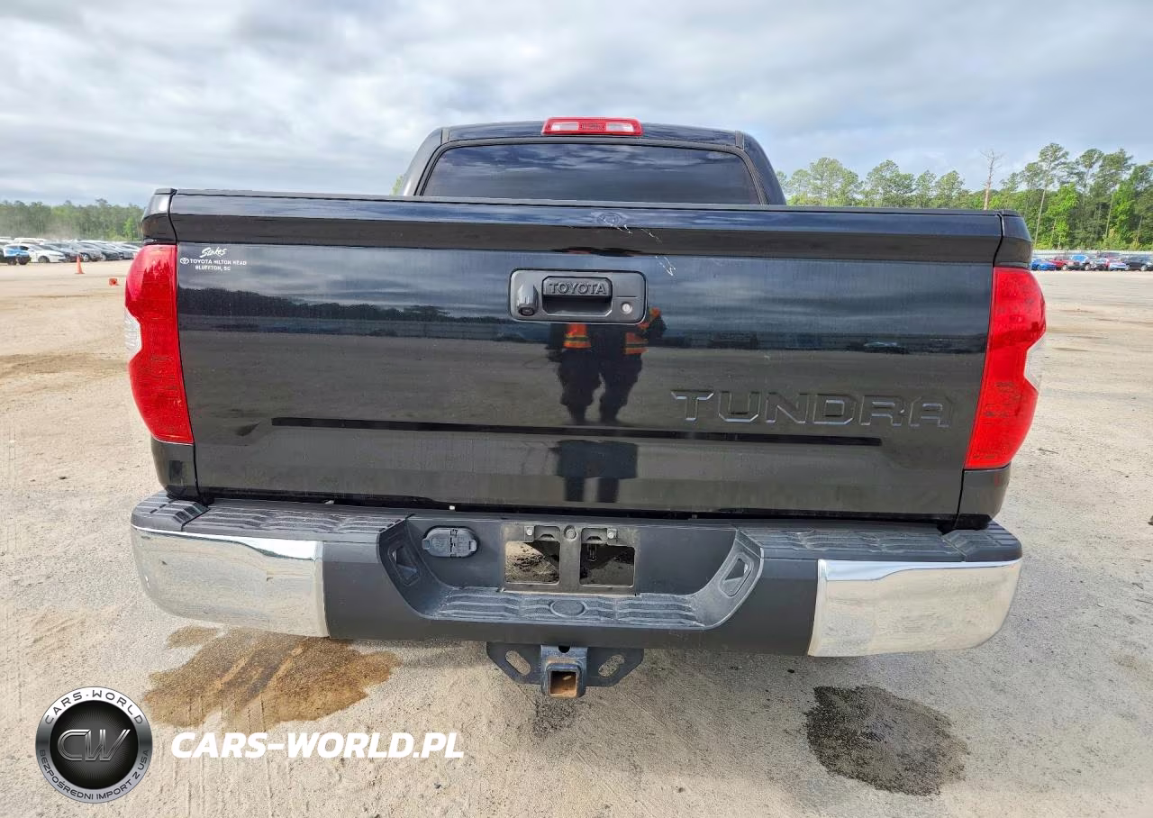 2019 Toyota Tundra Crewmax Limited VIN:5TFFY5F18KX250290 - 6