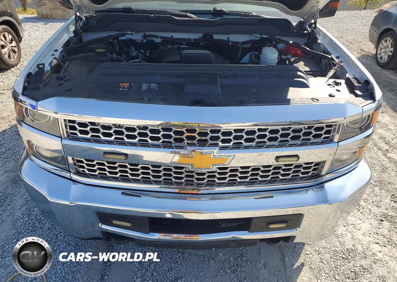 2019 Chevrolet Silverado C2500 Heavy Duty VIN:2GC2CREG2K1168997 - 11