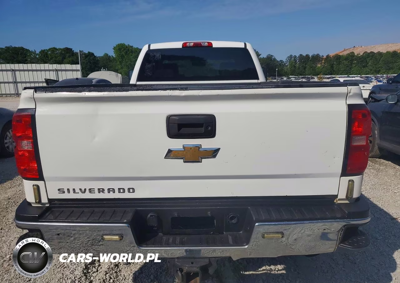 2019 Chevrolet Silverado C2500 Heavy Duty VIN:2GC2CREG2K1168997 - 6