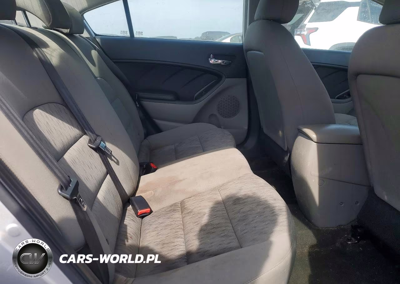 2015 Kia Forte Lx VIN:KNAFK4A61F5371806 - 10